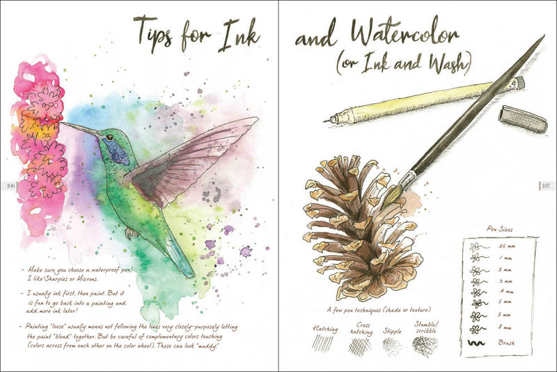 Drawn to Birds: A Naturalist's Sketchbook