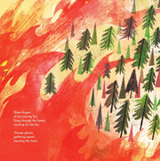 Pine Cone Regrown Picture Book
illustration and text about forest fire