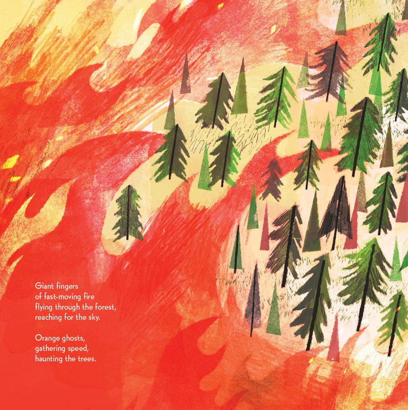 Pine Cone Regrown Picture Book
illustration and text about forest fire