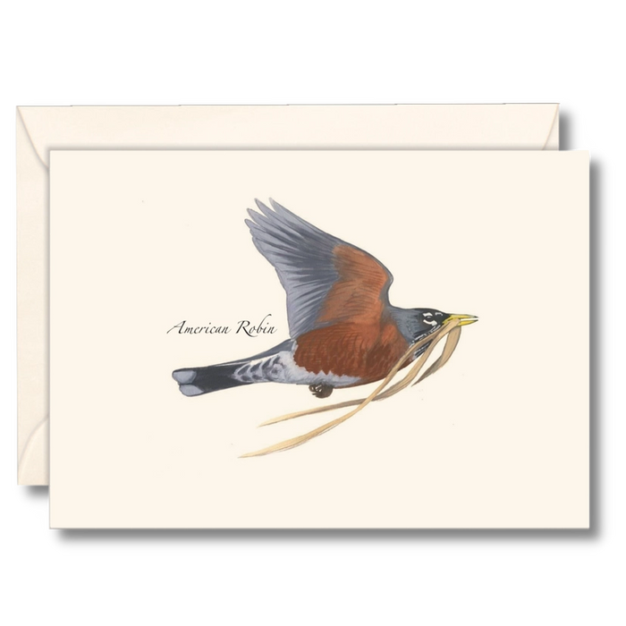 Robin in Flight Notecard - Set of 8