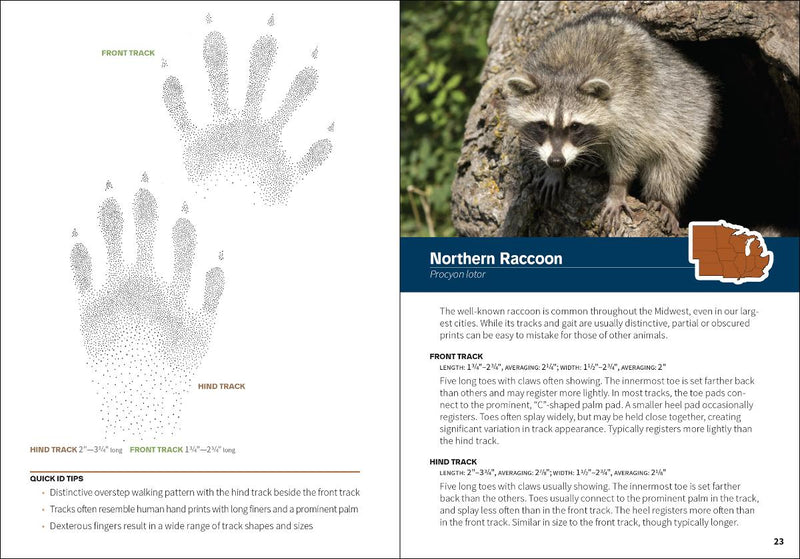 Animal Tracks of the Midwest sample pages