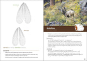 Animal Tracks of the Midwest sample pages