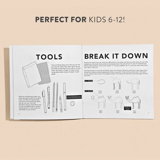 tools for drawing and how to draw a camel