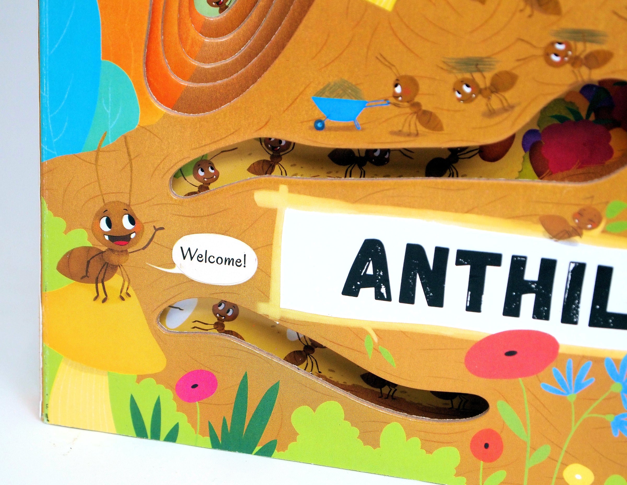 Discovering the Active World of the Anthill - Board Book — Nature Niche