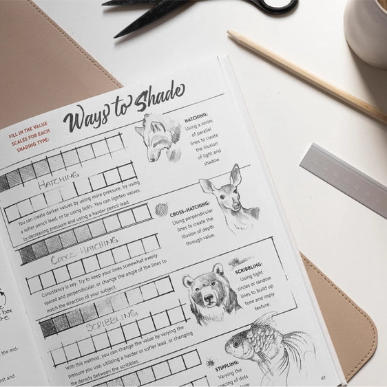 text about ways to shade and illustrations