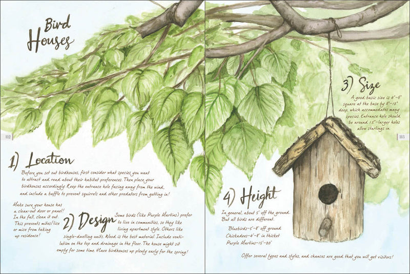 Drawn to Birds: A Naturalist's Sketchbook