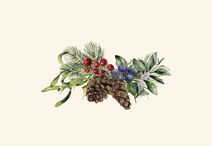 Holiday Greenery Assortment - pine cones and berries