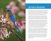 Attracting & Feeding Bluebirds
sample pages