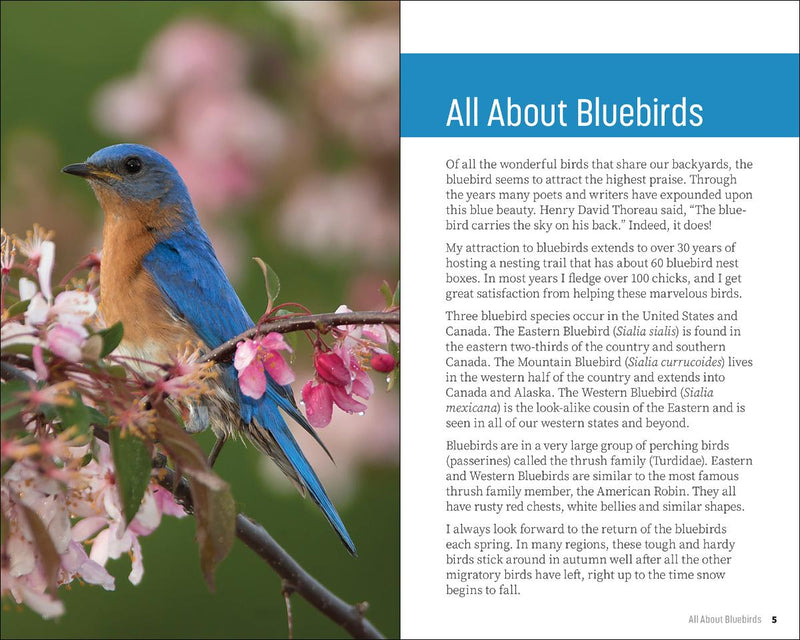 Attracting & Feeding Bluebirds
sample pages