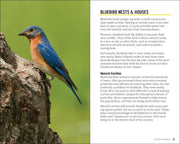Attracting & Feeding Bluebirds
sample pages