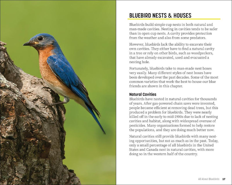 Attracting & Feeding Bluebirds
sample pages