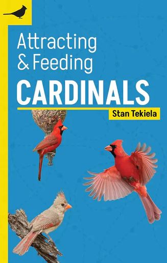 Book cover of 'Attracting & Feeding Cardinals' by Stan Tekiela with images of cardinals on a blue and yellow background.