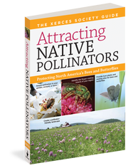 Attracting Native Pollinators