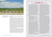 Attracting Native Pollinators - sample page