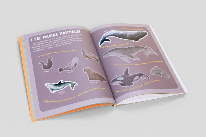 Backpack Explorer Stickers: Ocean Adventure