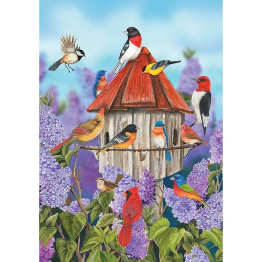Colorful illustration of birds around a birdhouse with flowers in the background