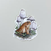 Sticker - American Toad with Shaggy Mane fungi and Clover