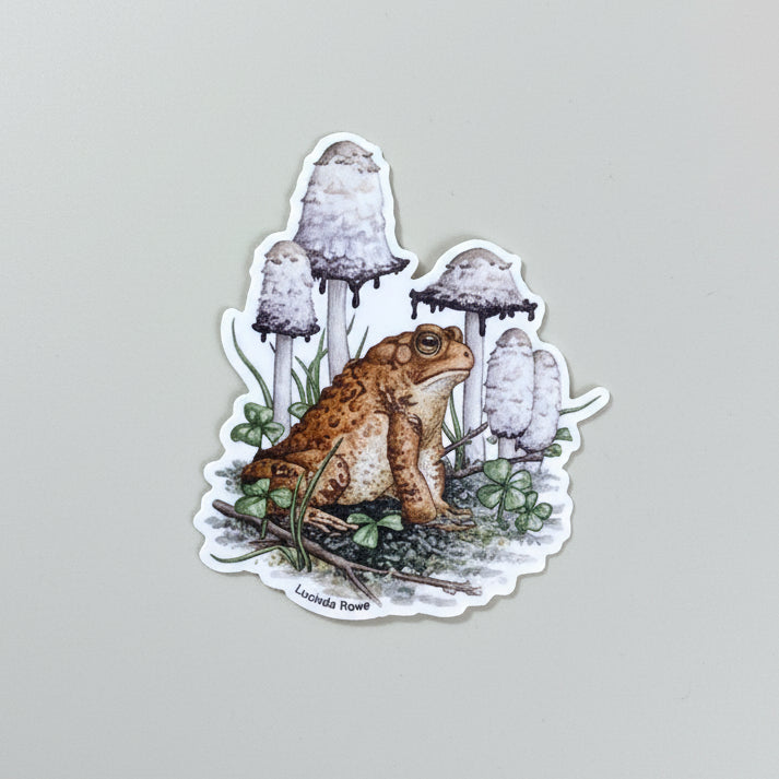 Sticker - American Toad with Shaggy Mane fungi and Clover