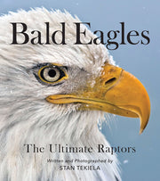 Bald Eagles: the Ulitmate Raptors by Stan Tekiela