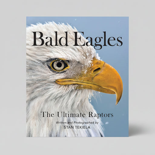 Bald Eagles: the Ulitmate Raptors by Stan Tekiela