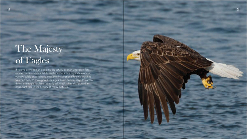 Bald Eagles: the Ulitmate Raptors by Stan Tekiela
photos and text