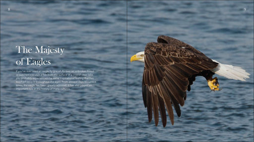 Bald Eagles: the Ulitmate Raptors by Stan Tekiela
photos and text