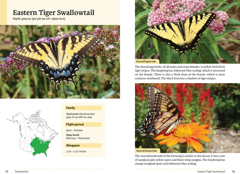 Raising Butterflies and Moths in the Garden sample page