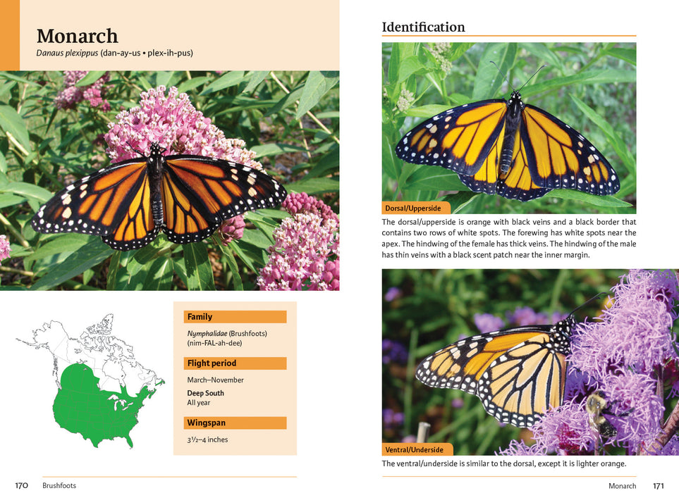 Raising Butterflies and Moths in the Garden sample page