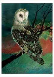 Barn Owls Boxed Notecard Assortment by Jeannine Chappell 
Barn Owl, 2006