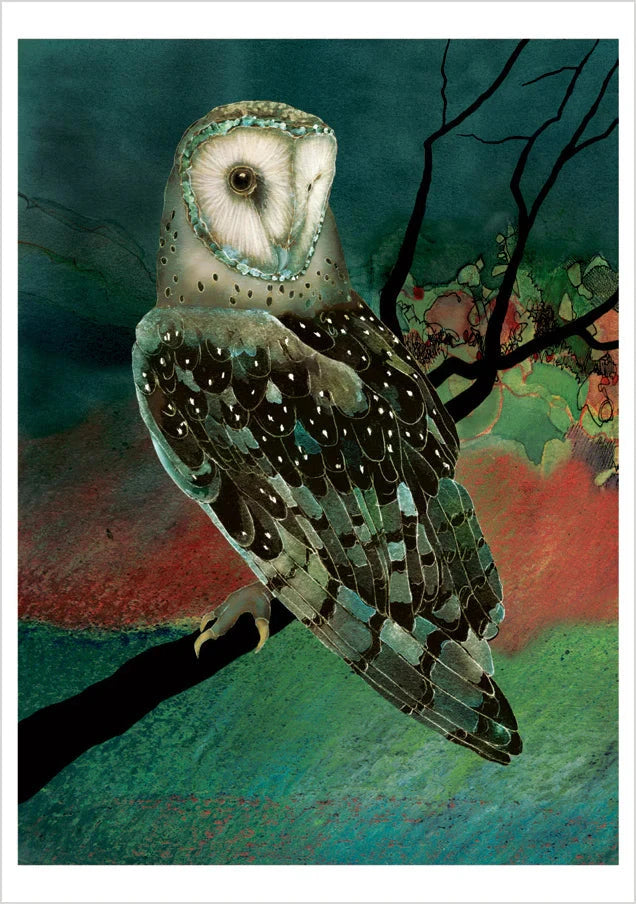 Barn Owls Boxed Notecard Assortment by Jeannine Chappell 
Barn Owl, 2006