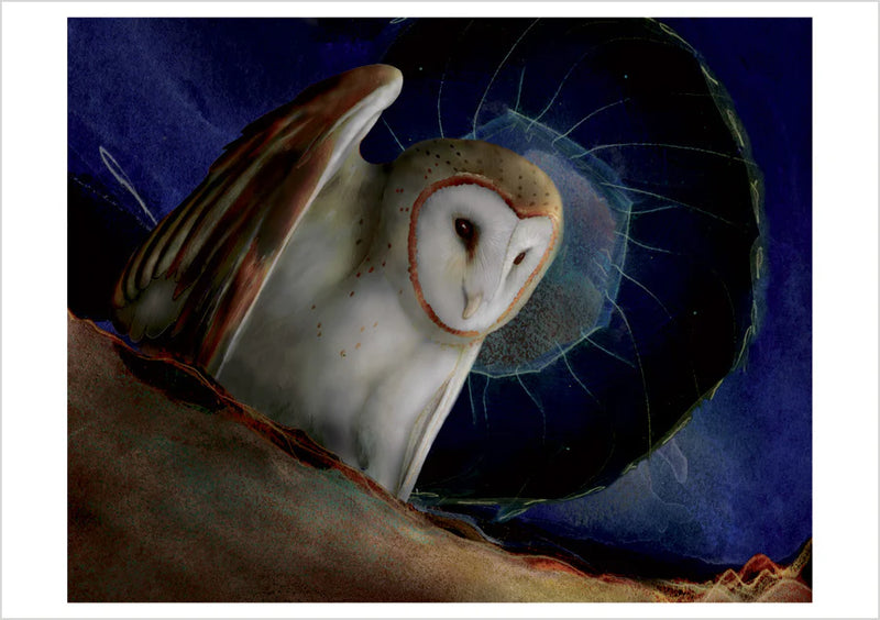 Barn Owls Boxed Notecard Assortment by Jeannine Chappell 
Barn Owl, 2008