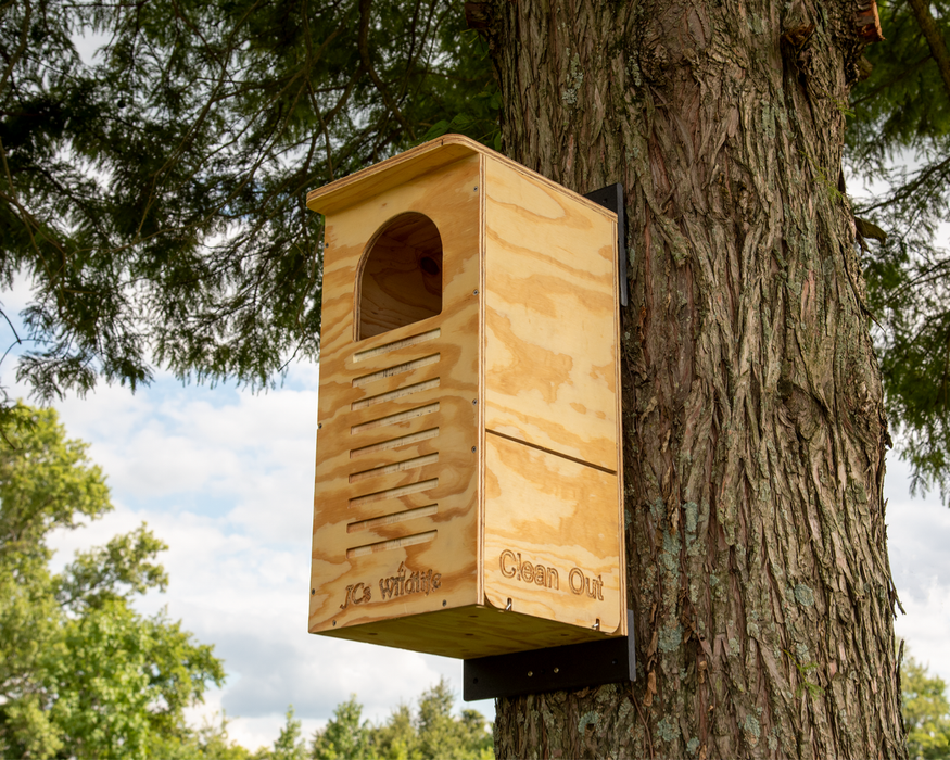 Barred Owl Box Kit - assembly required - installed on a tree
