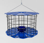 Barrier Guard Specialty Bluebird Feeder - Blue