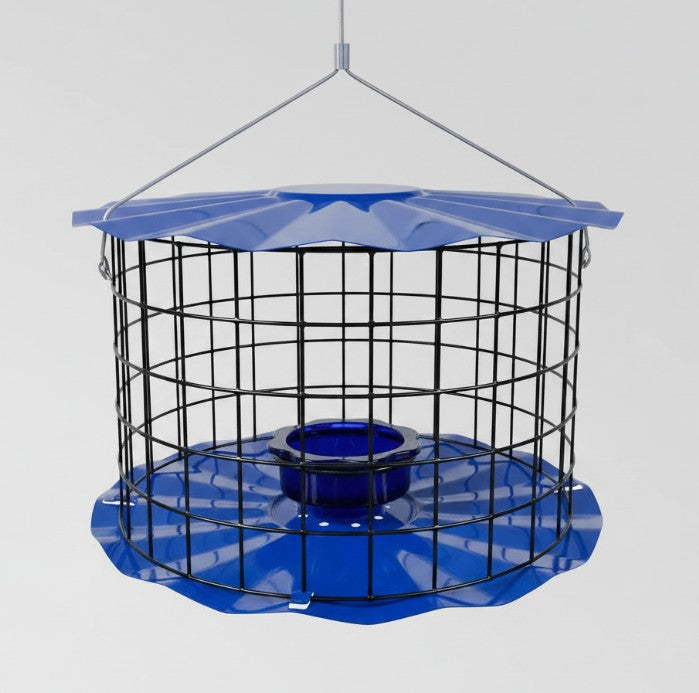 Barrier Guard Specialty Bluebird Feeder - Blue