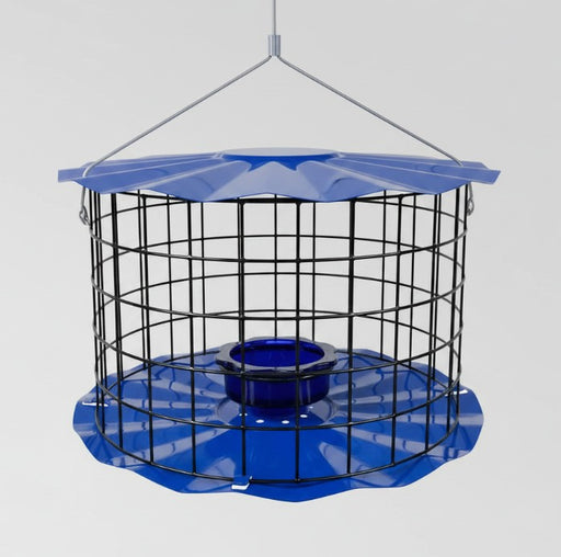 Barrier Guard Specialty Bluebird Feeder - Blue