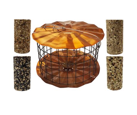 Barrier Guard Specialty Bluebird Feeder with Perch - Thumbnail 5