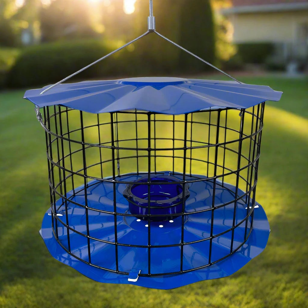 Barrier Guard Specialty Bluebird Feeder with Perch - Thumbnail 2