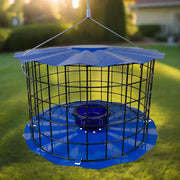 Barrier Guard Specialty Bluebird Feeder - Blue