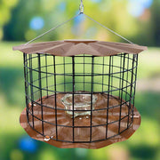 Barrier Guard Specialty Bluebird Feeder - Copper Tint