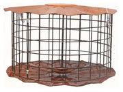 Barrier Guard Seed Cylinder Feeder Deluxe Banquet Bundle - BBF1C