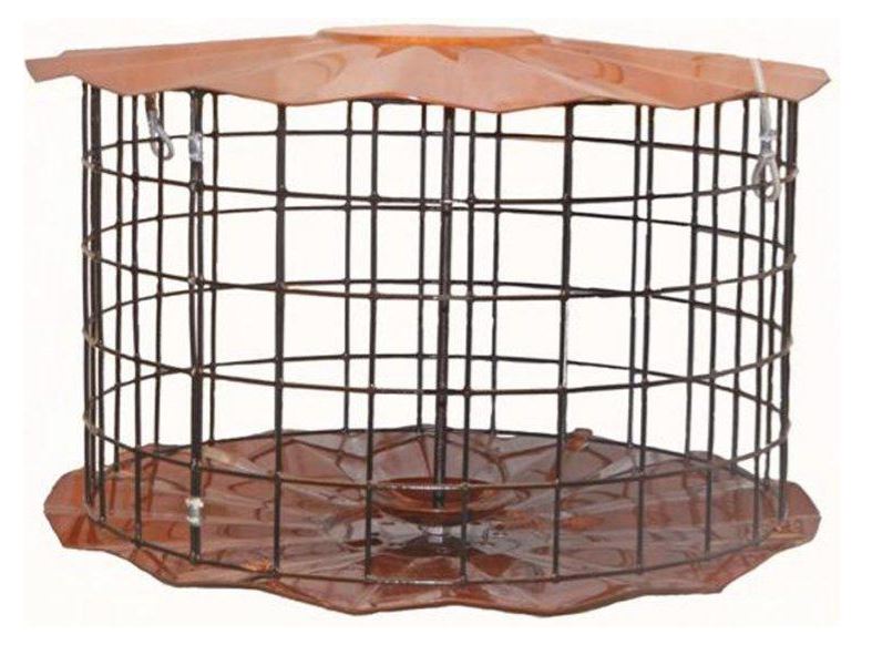 Barrier Guard Seed Cylinder Feeder Deluxe Banquet Bundle - BBF1C