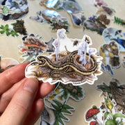 Sticker - Garter Snake with Ghost Pipes