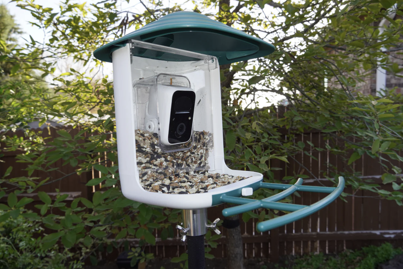 Beakview bird feeder with camera installed