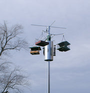Bear-Proof Aerial Feeding Station