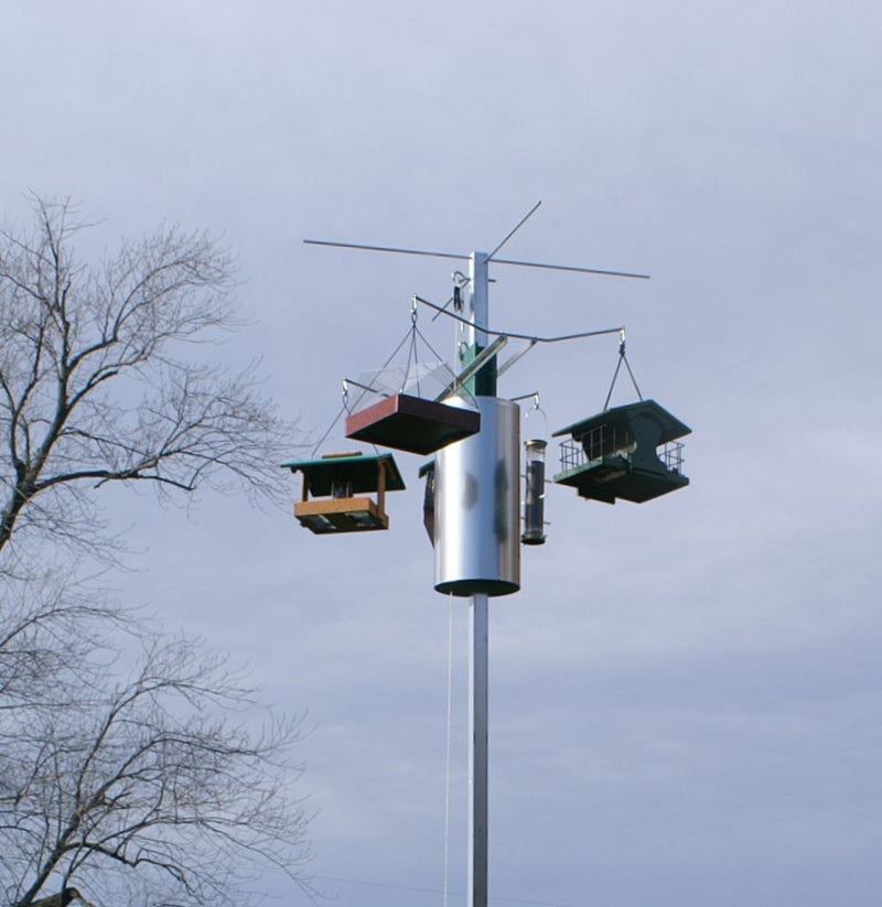 Bear-Proof Aerial Feeding Station