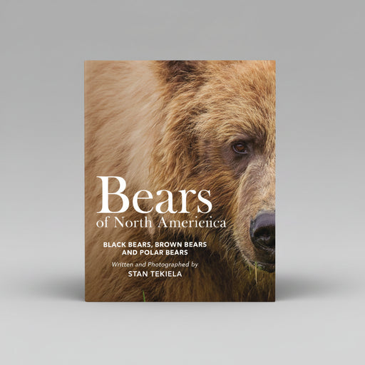 Bears of North America cover
