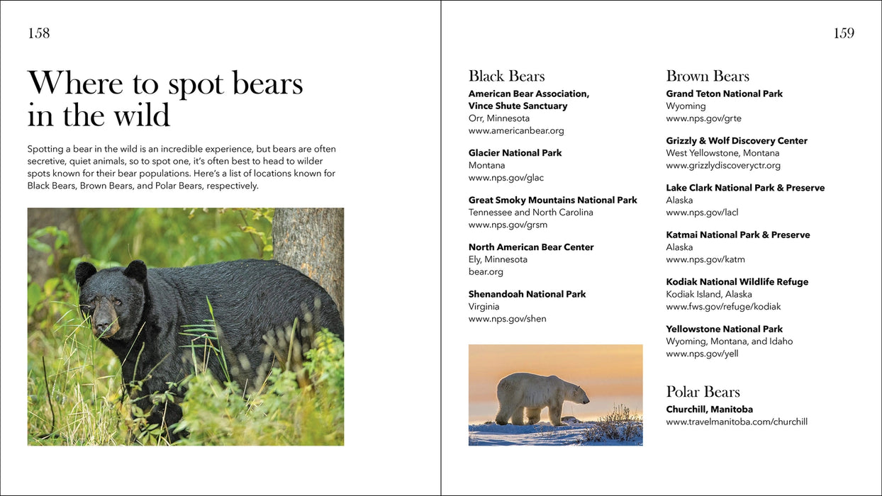 Bears of North America 2nd Ed