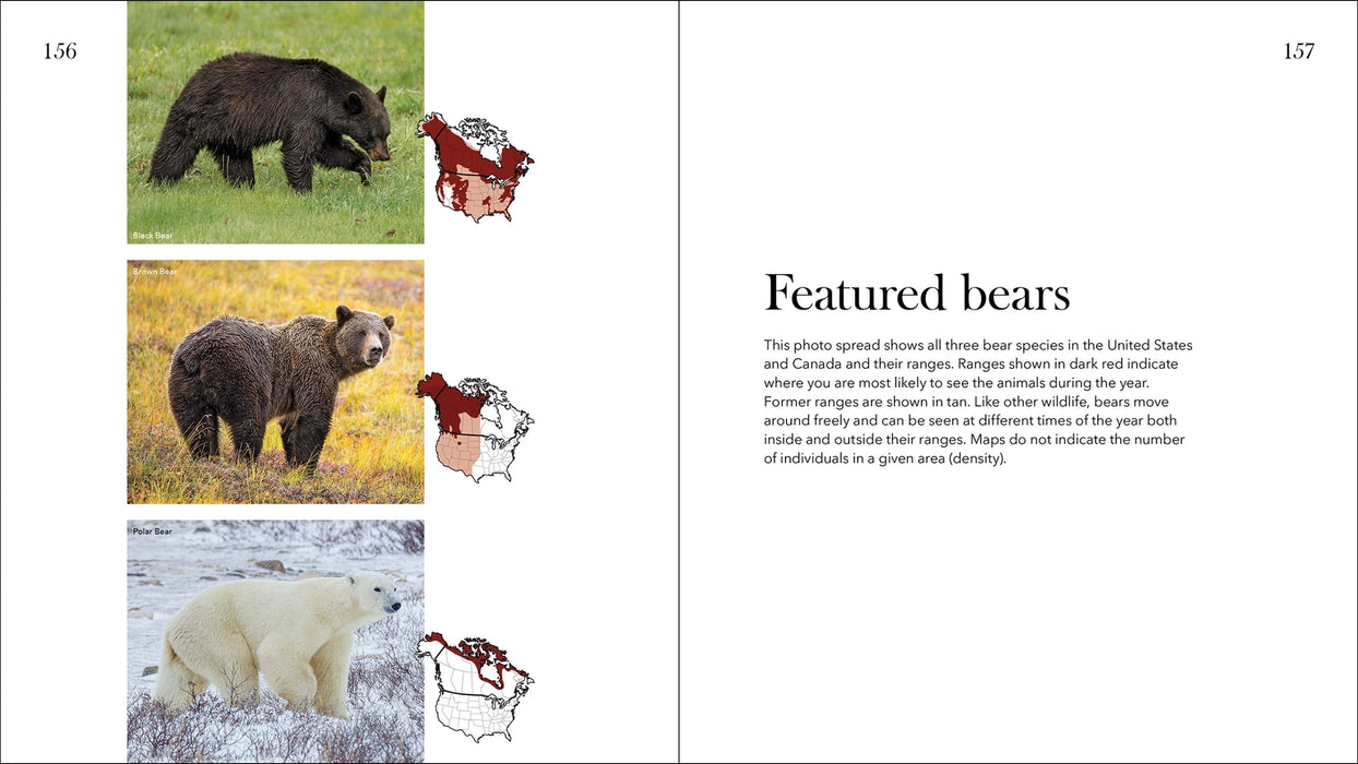 Bears of North America 2nd Ed
