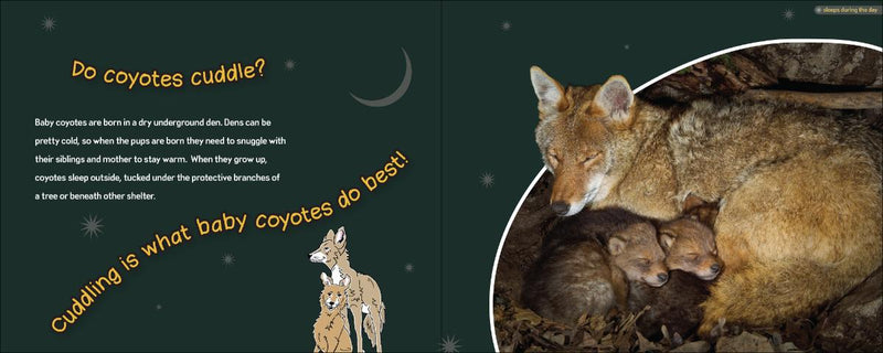 Do Beavers Need Blankets? by Stan Tekiela
Do coyotes cuddle? sample pages