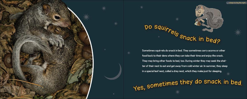 Do Beavers Need Blankets? by Stan Tekiela
text and pictures about squirrels
